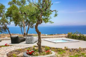 un giardino con albero e una piscina di Elysian Santorini a Oia