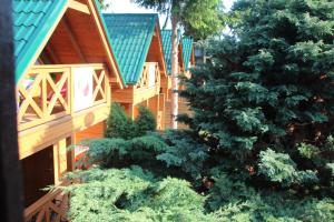 una cabaña de madera con un árbol delante en Domki pod lasem blisko morza, en Sztutowo