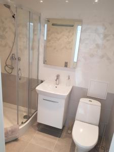 a bathroom with a toilet and a sink and a shower at Alejas Lux Apartment in Liepāja