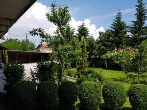 Gallery image of Apartment Paradise Enver in Dubrave Gornje