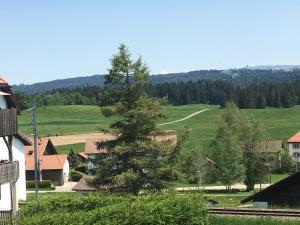 vista su un villaggio con un albero e una strada di B&B le Quinquet a Les Bois