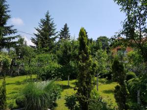 Gallery image of Apartment Paradise Enver in Dubrave Gornje +35 photos