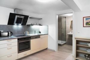 kuchnia ze zlewem i kuchenką górny piekarnik w obiekcie Apartments Golden Roof by Penz w mieście Innsbruck