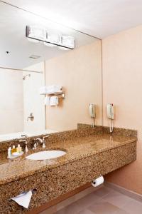Baño del hotel con lavabo y espejo en Ann Arbor Regent Hotel and Suites, en Ann Arbor