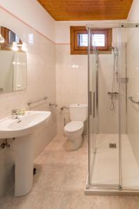 y baño con aseo, lavabo y ducha. en apartamento AZKOITI ETXEA en Ochagavía