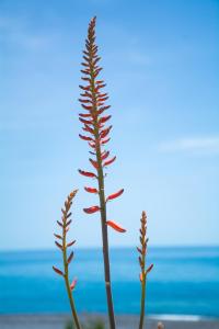 Fotografie z fotogalerie ubytování Stella's Beach House v destinaci Psari Forada