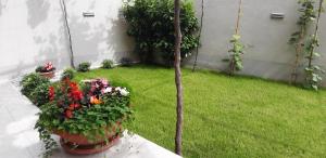 Zahrada ubytování Apartment Sunce