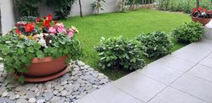 Zahrada ubytování Apartment Sunce