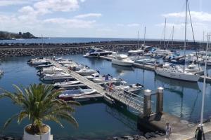 un gruppo di imbarcazioni ormeggiate in un porto turistico di Casa do João Bento a Água de Alto