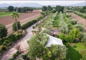 Photo de la galerie de l'établissement Villa Rosa Lifestyle B&B, à Sessa Aurunca 52 autres photos