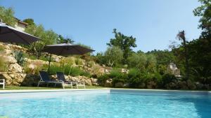 een zwembad met 2 stoelen en een parasol bij Le Vallon des Oliviers in Montauroux