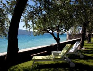 una sedia seduta sotto un albero accanto all'acqua di Hotel Villa Giulia a Gargnano