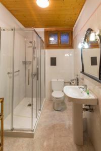 a bathroom with a shower and a toilet and a sink at Apartmento AZKOITI in Ochagavía