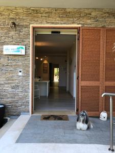 a dog laying on the floor in front of a door at Arli Hotel Hideaway Punta Ala - Adults Only in Punta Ala
