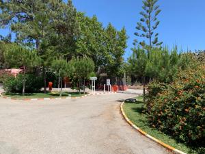 Vonkajšia záhrada v ubytovaní Camping La Buganvilla