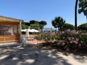 Gallery image of Camping La Buganvilla in Marbella