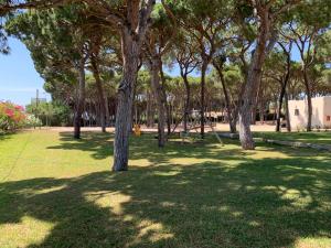 Vonkajšia záhrada v ubytovaní Camping La Buganvilla