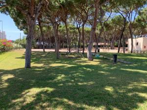 Vonkajšia záhrada v ubytovaní Camping La Buganvilla