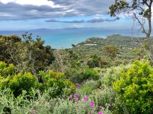 a view of the ocean from the top of a hill with flowers at Arli Hotel Hideaway Punta Ala - Adults Only in Punta Ala