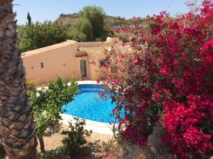 una villa con piscina e fiori di Villa Margarita a Turre