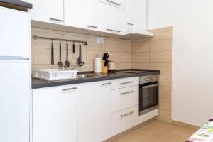 Kuchyň nebo kuchyňský kout v ubytování Apartments Raspolic