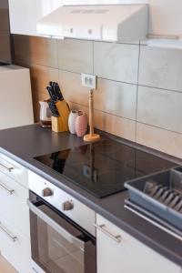 Kuchyň nebo kuchyňský kout v ubytování Apartments Raspolic