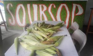 Fotografie z fotogalerie ubytování Soursop Hostel v destinaci Cueta