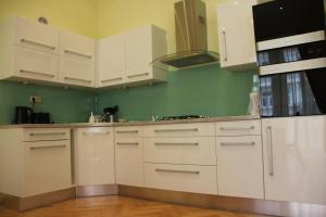 Kuchyň nebo kuchyňský kout v ubytování Jurincom apartments Sadová