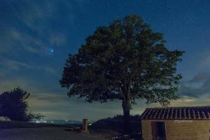 阿夏诺Agriturismo Mocine的相册照片