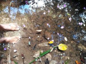 Fotografie z fotogalerie ubytování Ilha de Mato v destinaci Vale do Capao + 89 fotografií