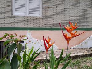 a couple of orange flowers in front of a building at Ilha de Mato in Vale do Capao