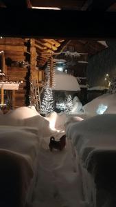 Chalet Svizzero að vetri til