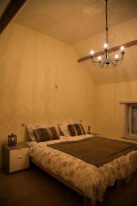 een slaapkamer met een bed en een kroonluchter bij 'T Dagwant in Geraardsbergen