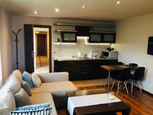 salon z kanapą i kuchnią w obiekcie Apartament Granat w Zakopanem
