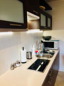 Kuchnia lub aneks kuchenny w obiekcie Apartament Granat