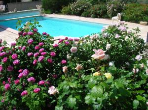 a bunch of flowers in front of a swimming pool at Le Mas des Baux in Bédoin