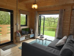 a living room with a couch and a television at Pound Farm Holidays - Orchard Lodge in Cullompton