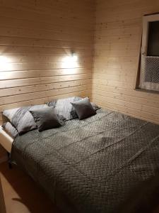 - une chambre avec un lit et 2 oreillers dans l'établissement Domek Pod Gruszą, à Pierwoszyno