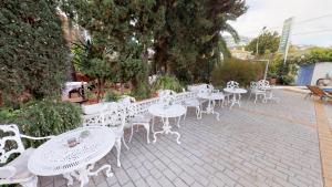 Fotografie z fotogalerie ubytování Hotel Boutique MR Palau Verd - Adults Only v destinaci Denia