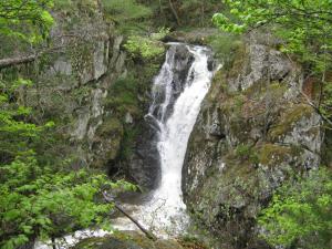 Náttúran í nágrenni sumarhússins