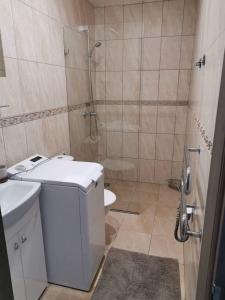 La salle de bains est pourvue d'une douche, de toilettes et d'un lavabo. dans l'établissement Maluno Vila Apartment, à Palanga