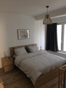 a bedroom with a large bed and a window at « Les 3 Moussaillons » appartement 2 ch Coxyde in Koksijde