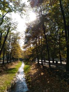 Peisaj natural din apropierea acestei pensiuni