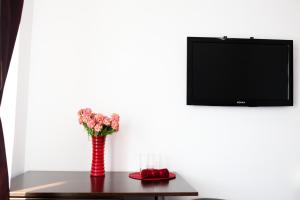 TV a/nebo společenská místnost v ubytování Pension Iory`s