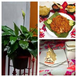 Gallery image of Posada Familiar El Dorado in Xilitla