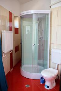 a bathroom with a shower and a toilet at Pension Iory`s in Techirghiol