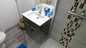a bathroom with a sink and a shower at Appartement Le Mans Libération in Le Mans