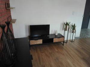 Televízia a/alebo spoločenská miestnosť v ubytovaní Apartament Grochowa