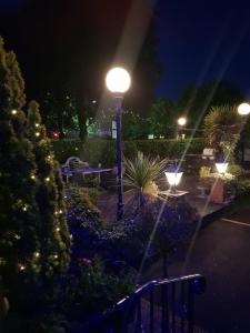 a street light in a park at night at Regency Hotel in Leicester