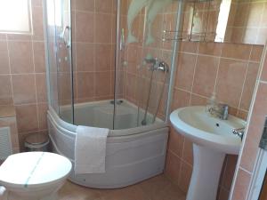 y baño con ducha, aseo y lavamanos. en Casa Raluca, en Arieşeni